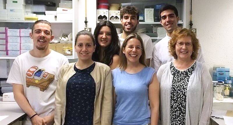 Investigadores del IBUB crean una nueva técnica para medir la actividad del tejido adiposo marrón