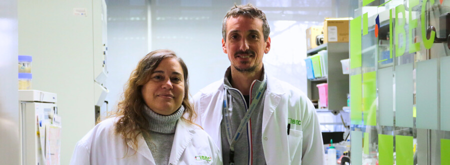 Un equipo del IBEC desarrolla un método de impresión de proteínas para recrear el intestino en el laboratorio