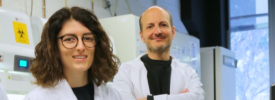 Un nou dispositiu biomèdic permet simular tumors per analitzar l’eficàcia dels tractaments amb immunoteràpia